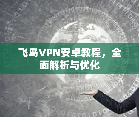 飞鸟VPN安卓教程,全面解析与优化 飞鸟VPN安卓教程,全面解析与优化