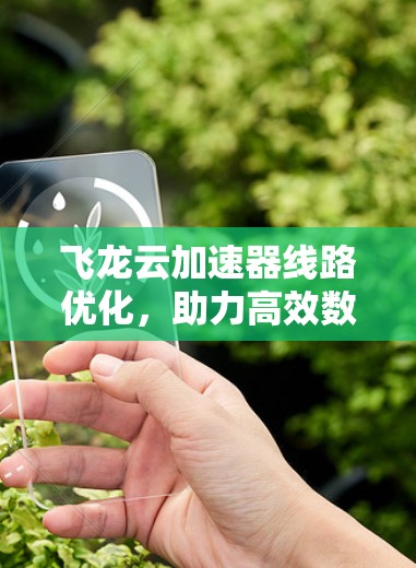 飞龙云加速器线路优化,助力高效数据传输与云服务提升 飞龙云加速器线路优化,助力高效数据传输与云服务提升