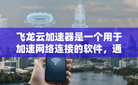飞龙云加速器是一个用于加速网络连接的软件，通常用于解决网络不稳定的问题。以下是一个详细的步骤指南，帮助你使用飞龙云加速器进行外网连接