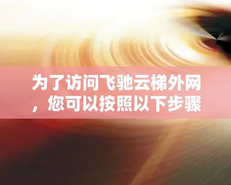 为了访问飞驰云梯外网，您可以按照以下步骤进行
