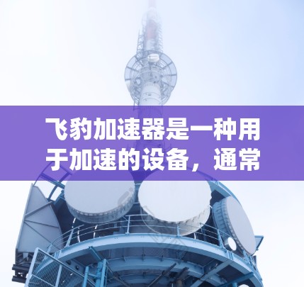飞豹加速器是一种用于加速的设备，通常用于汽车、飞行器或飞行器动力系统。为了确保飞豹加速器的线路正常运行，需要进行线路测试。以下是飞豹加速器线路测试的详细步骤