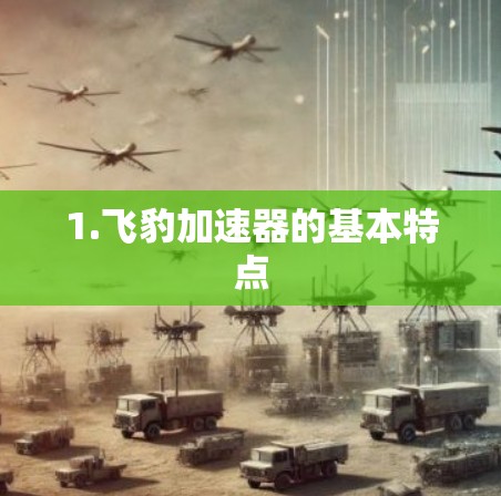 1.飞豹加速器的基本特点
