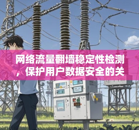 网络流量翻墙稳定性检测,保护用户数据安全的关键措施 网络流量翻墙稳定性检测,保护用户数据安全的关键措施