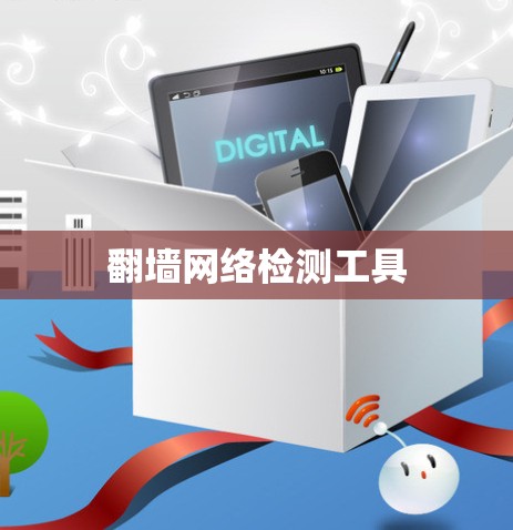 翻墙网络检测工具