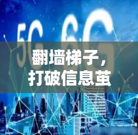 翻墙梯子,打破信息茧房的通向技术之路 翻墙梯子,打破信息茧房的通向技术之路