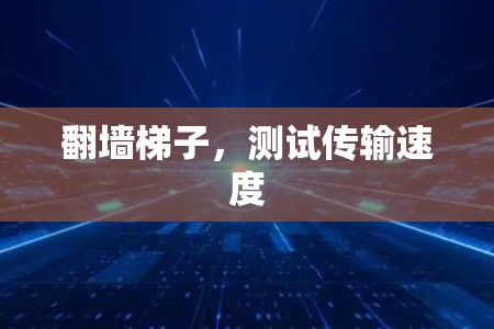 翻墙梯子,测试传输速度 翻墙梯子,测试传输速度