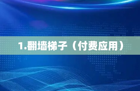 1.翻墙梯子(付费应用) 1.翻墙梯子(付费应用)