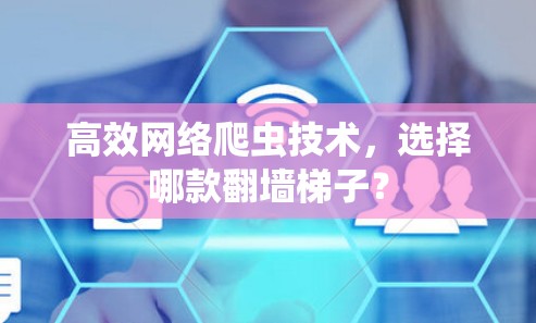高效网络爬虫技术,选择哪款翻墙梯子? 高效网络爬虫技术,选择哪款翻墙梯子?