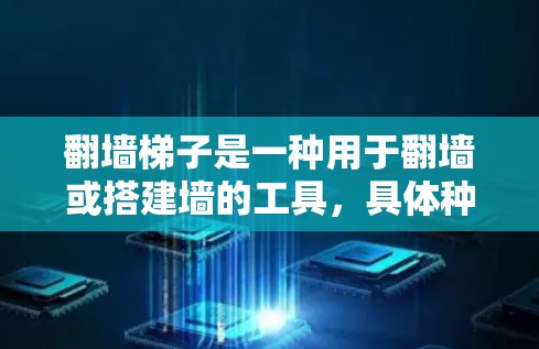 翻墙梯子是一种用于翻墙或搭建墙的工具，具体种类和使用方式可能因地区和用途而异。以下是一些常见的翻墙梯子类型及其特点