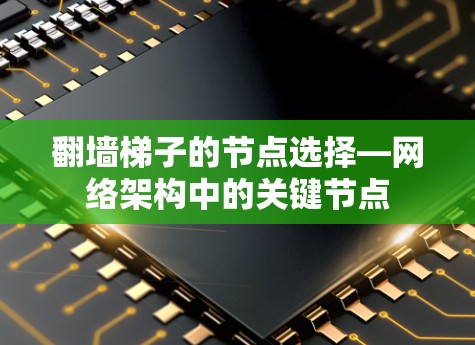 翻墙梯子的节点选择—网络架构中的关键节点