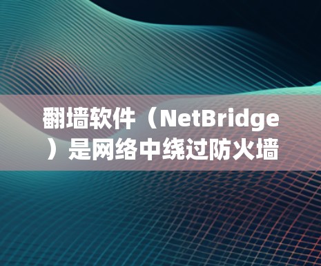 翻墙软件(NetBridge)是网络中绕过防火墙或防火墙无法阻挡的网络工具,满足了不同用户的需求。以下是对翻墙软件的详细体验分享 翻墙软件(NetBridge)是网络中绕过防火墙或防火墙无法阻挡的网络工具,满足了不同用户的需求。以下是对翻墙软件的详细体验分享
