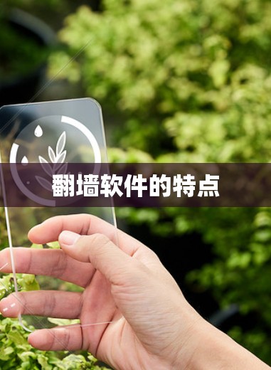 翻墙软件的特点 翻墙软件的特点