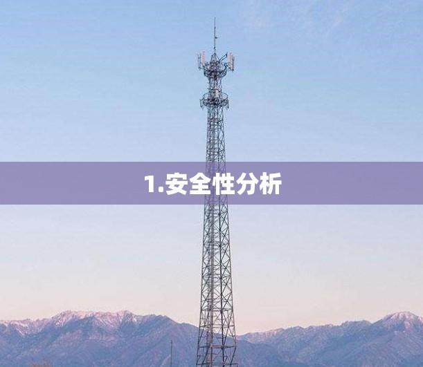 1.安全性分析 1.安全性分析