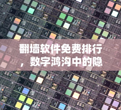 翻墙软件免费排行,数字鸿沟中的隐私守护者 翻墙软件免费排行,数字鸿沟中的隐私守护者