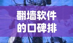 翻墙软件的口碑排行通常因软件品牌和市场环境而异,以下是一些常见的排名,供您参考 翻墙软件的口碑排行通常因软件品牌和市场环境而异,以下是一些常见的排名,供您参考