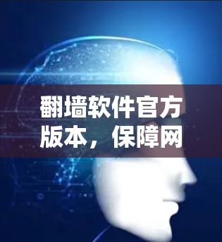 翻墙软件官方版本,保障网络安全,支持多设备 翻墙软件官方版本,保障网络安全,支持多设备