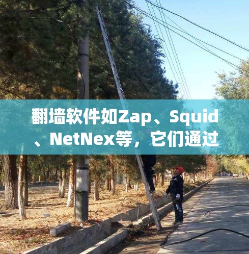 翻墙软件如Zap、Squid、NetNex等,它们通过安装和配置软件包实现将IP地址或网页地址翻墙到安全的服务器上。以下是安装和配置翻墙软件的基本步骤
