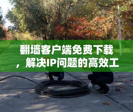 翻墙客户端免费下载,解决IP问题的高效工具