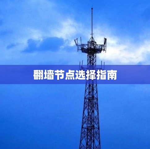 翻墙节点选择指南 翻墙节点选择指南