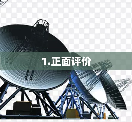 1.正面评价