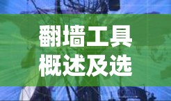翻墙工具概述及选择标准 翻墙工具概述及选择标准
