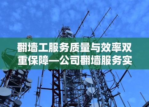 翻墙工服务质量与效率双重保障—公司翻墙服务实例报告
