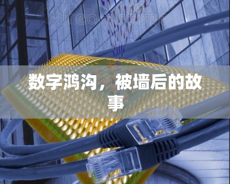 数字鸿沟，被墙后的故事