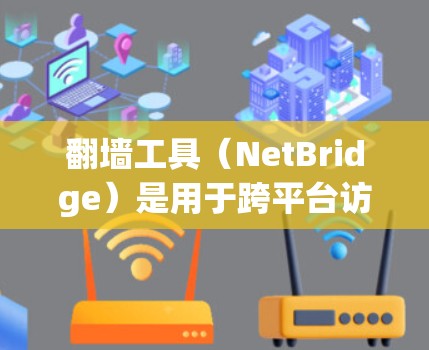 翻墙工具(NetBridge)是用于跨平台访问的工具,用户可以根据自己的需求选择适合的翻墙工具。以下是一些常见的翻墙工具及其特点,供你参考 翻墙工具(NetBridge)是用于跨平台访问的工具,用户可以根据自己的需求选择适合的翻墙工具。以下是一些常见的翻墙工具及其特点,供你参考
