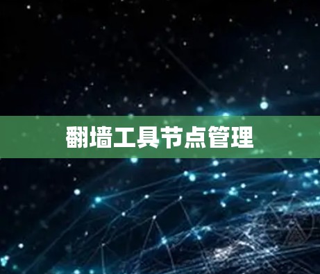 翻墙工具节点管理 翻墙工具节点管理