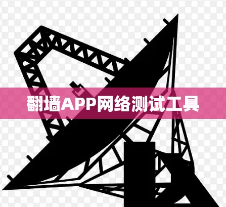 翻墙APP网络测试工具