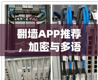翻墙APP推荐,加密与多语言驱动的高效访问体验