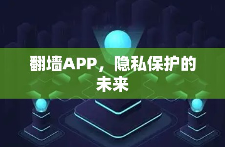 翻墙APP,隐私保护的未来