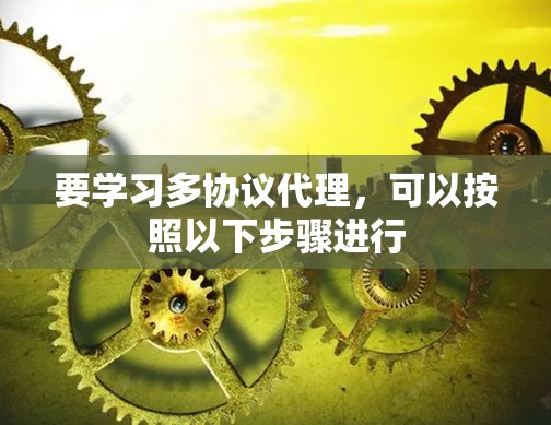 要学习多协议代理，可以按照以下步骤进行