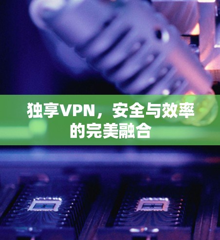 独享VPN,安全与效率的完美融合 独享VPN,安全与效率的完美融合