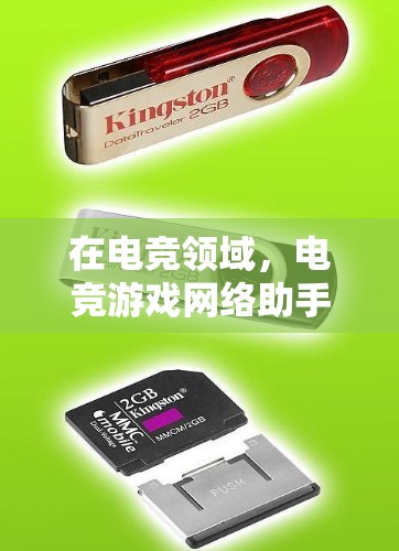 在电竞领域,电竞游戏网络助手通常指的是通过网络连接到电竞相关的设备或服务,以便玩家或团队在游戏或比赛过程中使用。这些设备可能包括 在电竞领域,电竞游戏网络助手通常指的是通过网络连接到电竞相关的设备或服务,以便玩家或团队在游戏或比赛过程中使用。这些设备可能包括