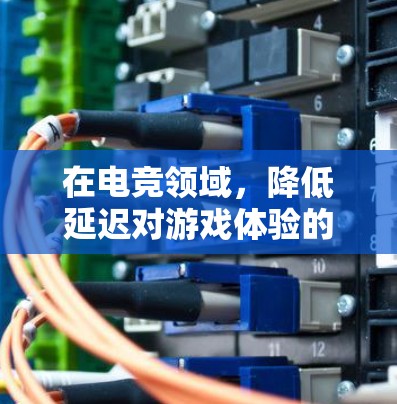 在电竞领域,降低延迟对游戏体验的提升至关重要。电竞比赛中,延迟会影响游戏流畅度和玩家操作的效率,因此引入低延迟助手具有重要意义。以下是对电竞中低延迟助手的详细分析 在电竞领域,降低延迟对游戏体验的提升至关重要。电竞比赛中,延迟会影响游戏流畅度和玩家操作的效率,因此引入低延迟助手具有重要意义。以下是对电竞中低延迟助手的详细分析