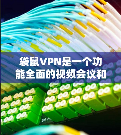 袋鼠VPN是一个功能全面的视频会议和远程办公服务,适合需要在不同语言和环境中进行视频会议的用户。以下是对袋鼠VPN的详细分析 袋鼠VPN是一个功能全面的视频会议和远程办公服务,适合需要在不同语言和环境中进行视频会议的用户。以下是对袋鼠VPN的详细分析