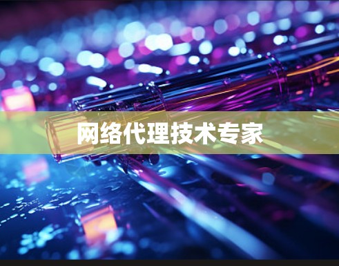网络代理技术专家 网络代理技术专家