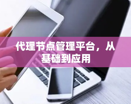 代理节点管理平台,从基础到应用 代理节点管理平台,从基础到应用