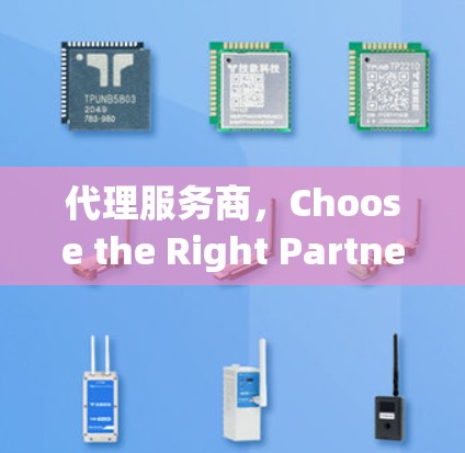 代理服务商,Choose the Right Partner for Your Success 代理服务商,Choose the Right Partner for Your Success
