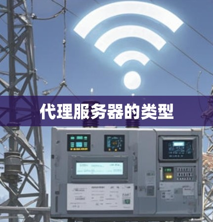 代理服务器的类型 代理服务器的类型