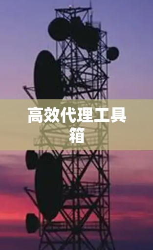 高效代理工具箱 高效代理工具箱