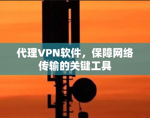 代理VPN软件,保障网络传输的关键工具 代理VPN软件,保障网络传输的关键工具