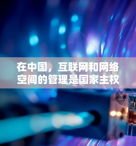 在中国，互联网和网络空间的管理是国家主权的范畴。根据中国的法律，任何人在境内使用VPN活动都是违反中国的法律的，无论是在美国还是加拿大，中国的法律都禁止在境内进行VPN活动