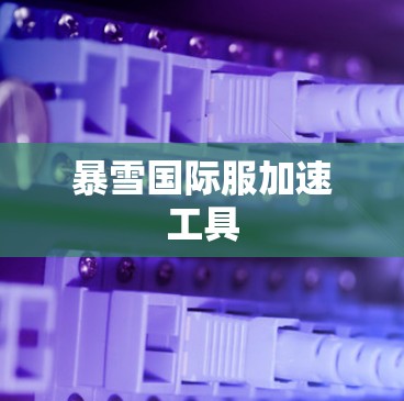 暴雪国际服加速工具 暴雪国际服加速工具