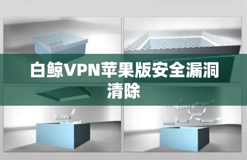 白鲸VPN苹果版安全漏洞清除 白鲸VPN苹果版安全漏洞清除