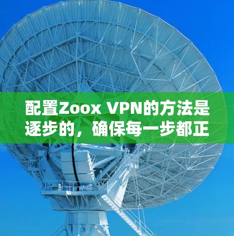 配置Zoox VPN的方法是逐步的,确保每一步都正确无误。以下是一个详细的指南