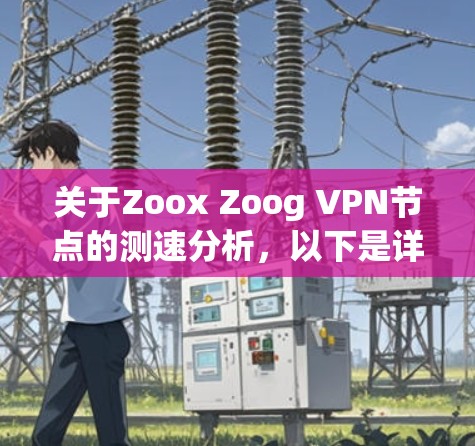 关于Zoox Zoog VPN节点的测速分析,以下是详细的总结和建议