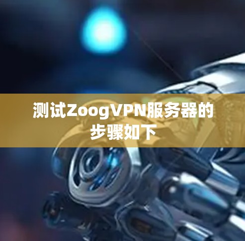 测试ZoogVPN服务器的步骤如下